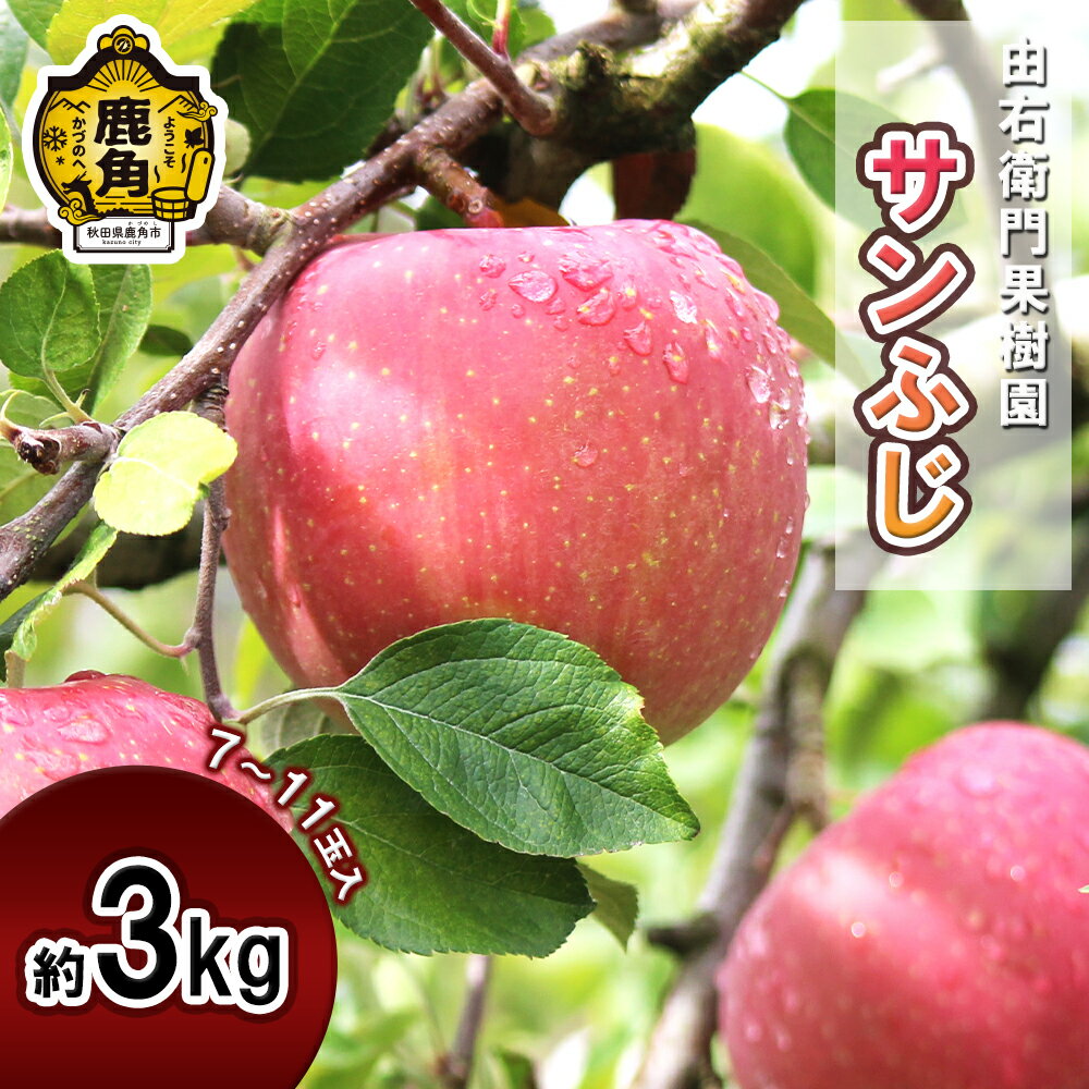 【ふるさと納税】《 先行予約 》由右衛門果樹園 りんご 「 サンふじ 」 約3kg ( 7～11玉 ) 食感 果汁 リンゴ 完熟 お中元 お歳暮 贈り物 お見舞い グルメ ギフト 故郷 秋田 あきた 鹿角市 鹿角 りんご 送料無料 【由右衛門果樹園】●2025年11月下旬発送開始