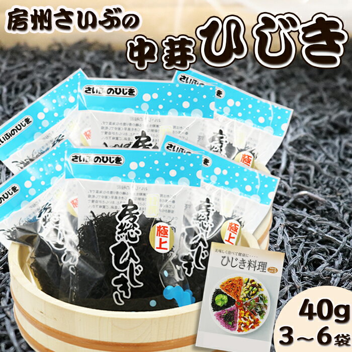 【さいぶのひじき】中芽ひじき 45g×6袋　レシピ集付き