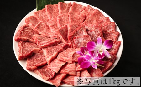 希少部位4種焼肉セット1.6kg（800g×2箱）【匠牧場】おおいた和牛＜102-014_5＞