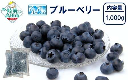 【数量限定】 冷凍ブルーベリー 500g×2袋 (計1,000g) 品種ミックス だいわフルーツパーク 【 産地直送 果物 フルーツ ブルーベリー 食べ比べ ヨーグルト ジャム 】 RT3012