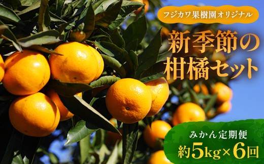 
                  【6回 頒布会】みかん 定期便 6回《高糖度温州みかんからスタート》 フルーツ フジカワ果樹園オリジナル（新季節の柑橘セット） 果物 FAH-0040
                