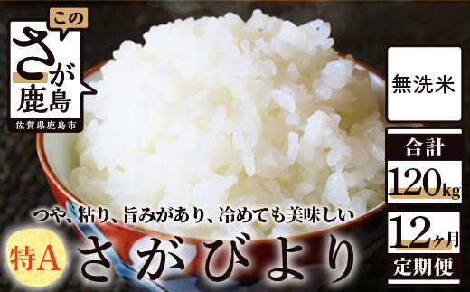 
                  無洗米 さがびより 10kg 定期便 （12か月） N-14 12回 佐賀県産
                