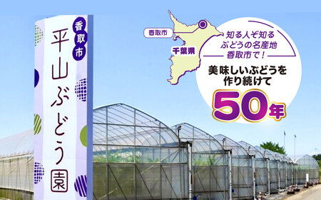 平山ぶどう園のマイハート（種なし）600g × 1房 / KTRBV002 / ぶどう ブドウ 葡萄 種なし たねなし フルーツ 果物 令和7年発送