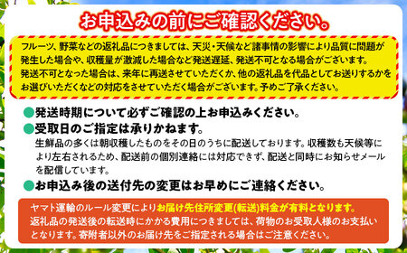 【令和6年産】ラ・フランス 3Lサイズ 約5kg（16玉）　山形県鶴岡市産 （2024年11月中旬頃～発送） 長南農園