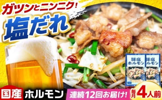 【12回定期便】岐阜県産豚もつの鉄板焼き「元祖みたけとんちゃん」豚塩味 2袋（4人前） / モツ もつ 白もつ ホルモン / 御嵩町 / 藤よし [AVAA060]