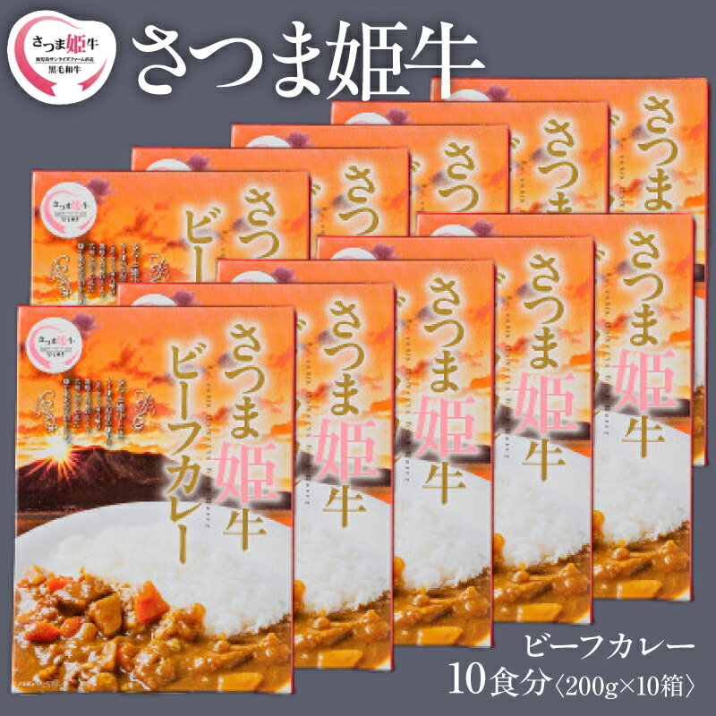 【ふるさと納税】ビーフカレー 10食分 2kg（200g×10袋）「SQF」の認証を取得し、世界基準に基づく安全・安心な商品！【鹿児島サンライズファーム】