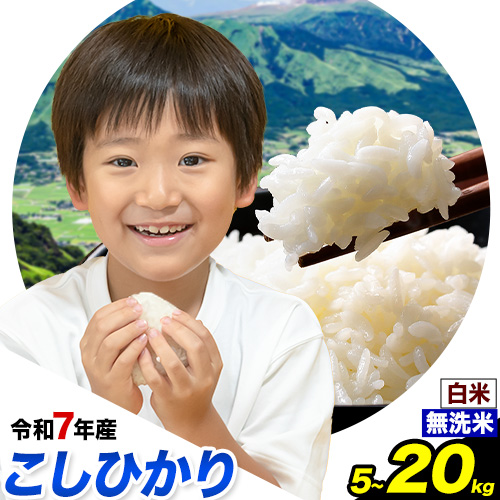 無洗米 も 選べる こしひかり 白米 or 無洗米 選べる精米方法 内容量 5kg 10kg 15kg 20kg 白米 精米 無洗米 熊本県産(南阿蘇村産含む) 単一原料米 南阿蘇村《7-14日以内に出荷予定(土日祝除く)》