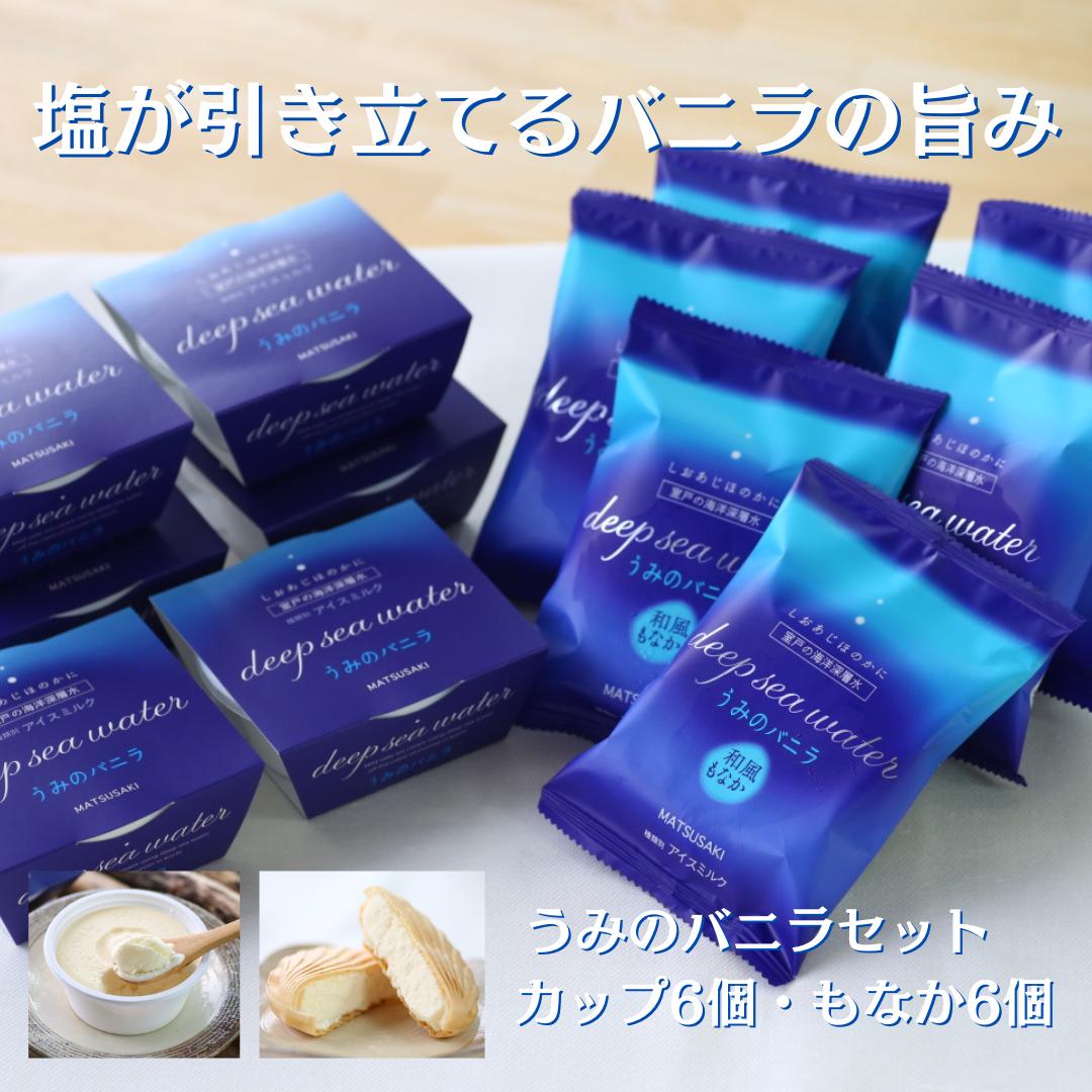 塩バニラアイス 12個（最中・カップ）室戸海洋深層水使用（高知アイス アイスクリーム ご当地アイス ご当地スイーツ 塩スイーツ 最中アイス カップアイス 詰合せ 詰め合わせ ギフト ふるさと納税）