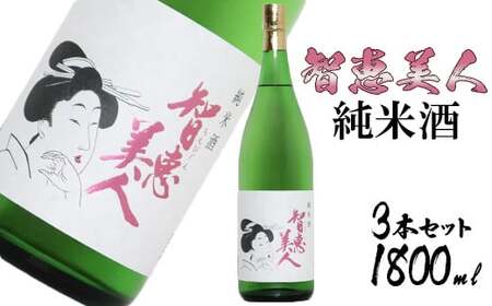 中野酒造 清酒 智恵美人 純米酒 1800ml 3本 セット【神田楽市】 九州 大分県 受賞 日本酒 純米酒 一升 ＜105-029＞