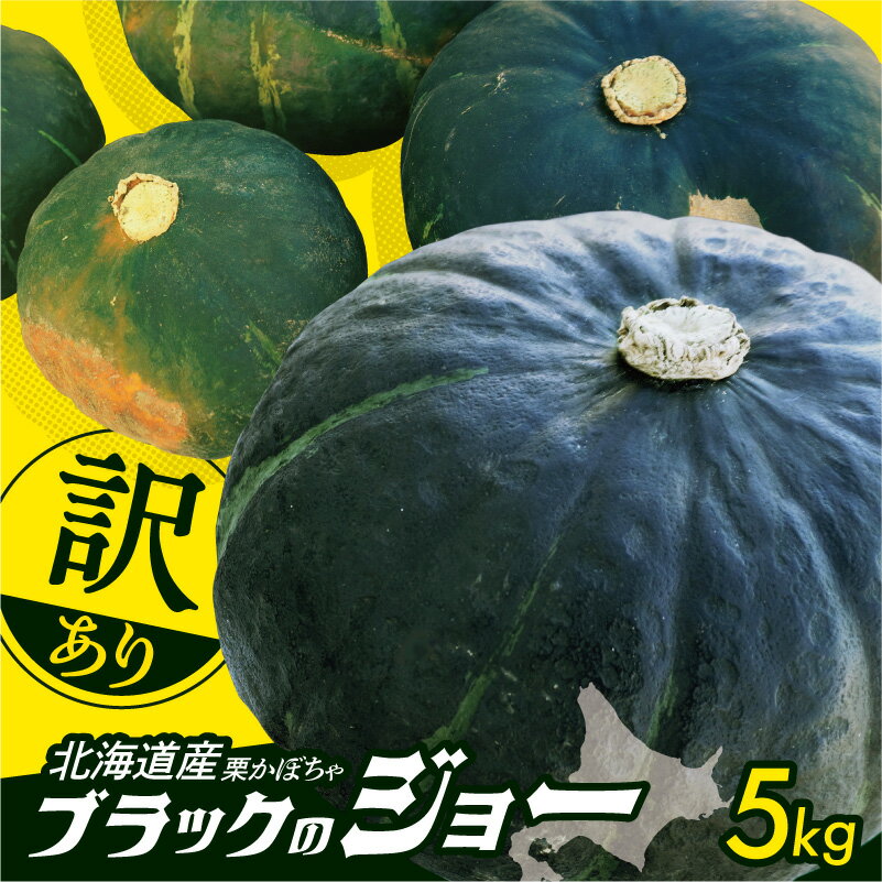 【ふるさと納税】先行受付！ 12月頃～発送開始！ 北海道十勝清水町産 生産者応援！【訳あり】ホクホク！栗かぼちゃ！ブラックのジョー 5kg 完熟 北海道産 かぼちゃ カボチャ 冬至 じっくり熟成 北海道特産 天ぷら コロッケ 煮物 北海道 清水町 送料無料