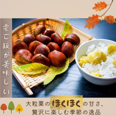 ふるさと納税 かすみがうら市 かすみがうら市産　生栗　3Lサイズ　2kg |  | 03