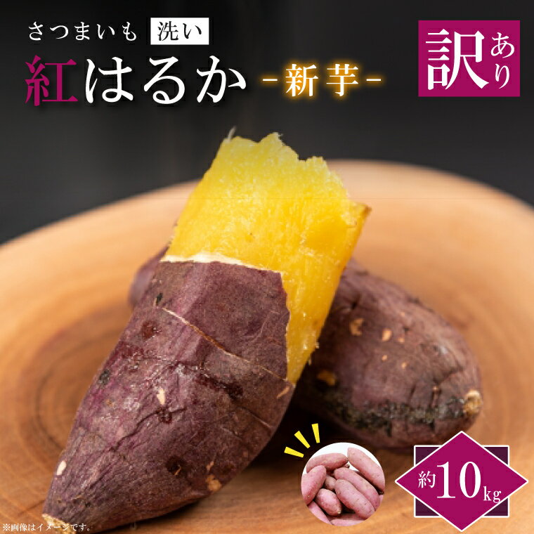 【ふるさと納税】★訳あり★農産物直売所「やさいの声」さつまいも 紅はるか 新芋洗い 約10kg(EK-10)