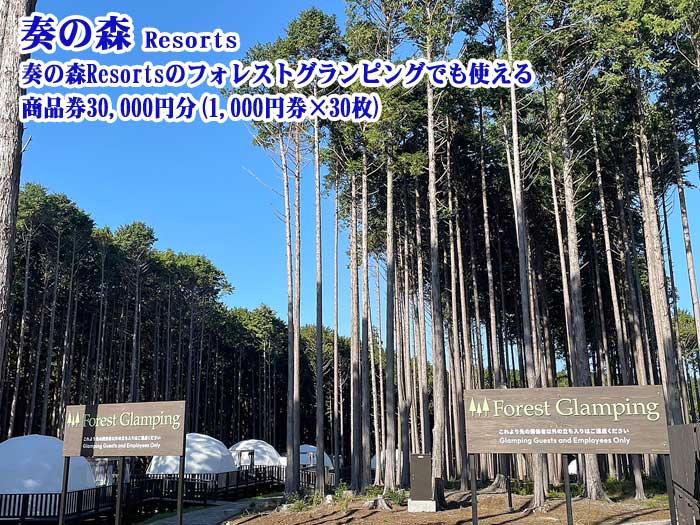 【ふるさと納税】静岡県伊東市 奏の森リゾート 奏の森Resortsのフォレストグランピングでも使える 商品券30,000円分(1,000円券×30枚)