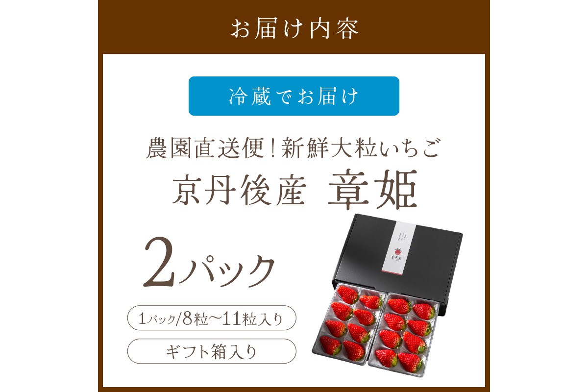 【京丹後産いちご章姫】農園直送便！新鮮大粒いちご 2パック ギフト箱入り／北畿水産 国産 大粒 あきひめ 甘い やわらかい ふるさと納税 いちご イチゴ 苺 先行予約 期間限定 くだもの 果物 先行申込 ストロベリー ギフト 送料無料　HK00307