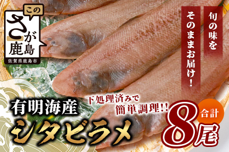 【ふるなび限定】【下処理済で簡単調理】有明海産 シタビラメ約150g×8尾【合計約1.2kg】煮つけ・唐揚げにおススメ【脂ののって美味しい】鮮度抜群 D-178 FN-Limited