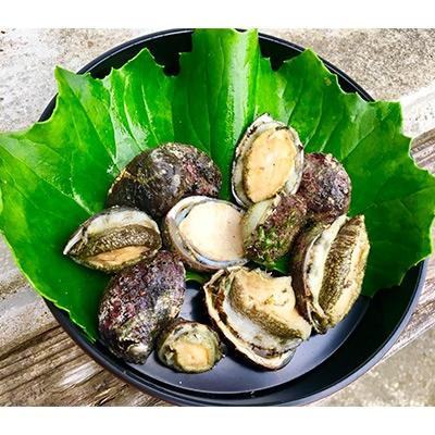 ふるさと納税 屋久島町 屋久島産　加熱用「いそもん」500g【海水で冷凍】 |  | 01