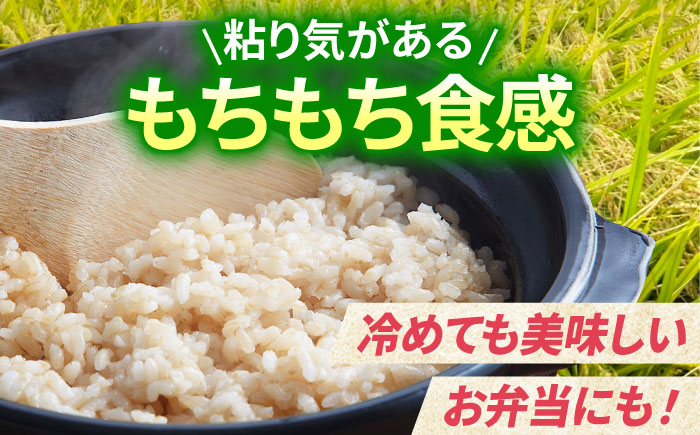 ＜先行予約＞【全6回定期便】令和6年産 がばいうまか エガシライス（夢しずく）玄米 10kg（5kg×2袋）【江頭農園】 [HAU010]