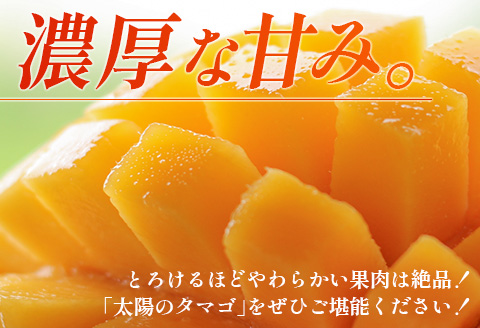 宮崎特産品　宮崎県産完熟マンゴー　太陽のタマゴ　2L×1個
