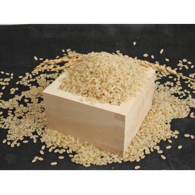 ふるさと納税 西脇市 兵庫県産【ヒノヒカリ】令和6年産　玄米10kg(10kg×1袋) |  | 03