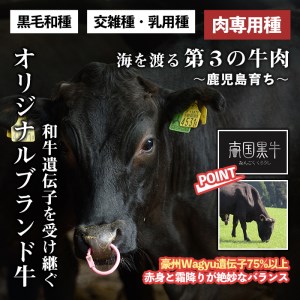 s142 鹿児島県産南国黒牛(肉専用種)ヒレステーキ2種盛り(計440g・220g×2パック)霜降りと赤身のバランスが絶妙な牛肉！ステーキとサイコロステーキをお楽しみください【カミチク】