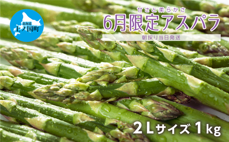 【2025年6月発送】北海道上ノ国町 寅福菜園の6月限定アスパラ　2L（1㎏）