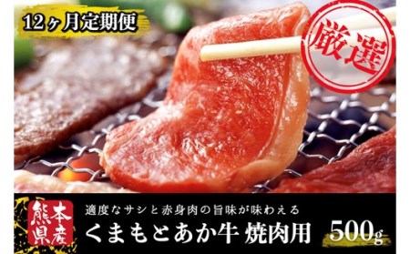 【12ヶ月定期便】ＧＩ認証取得 くまもとあか牛（焼肉用500g）