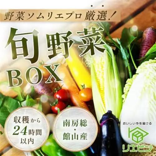 【毎月定期便】【上旬発送】こだわりの旬野菜BOX「リエビン」季節の野菜セット全6回【配送不可地域：離島・北海道】【4012342】