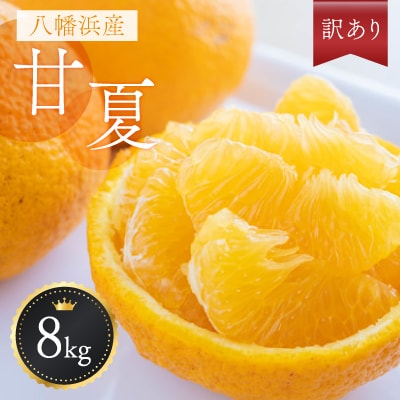 八幡浜産・甘夏8kg【訳あり】【C56−24】【配送不可地域：離島】【1293834】