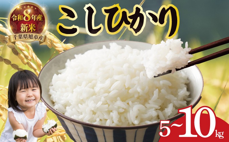 
                  【 先行予約 】 コシヒカリ 令和8年産 こしひかり 5kg～10kg 千葉県産コシヒカリ | コシヒカリ 千葉県産こしひかりコシヒカリ 農家直送 コシヒカリ 2026年 8月中旬以降発送 お米 米 こしひかり 白米 精米 千葉県 旭市 髙木惣一郎商店 tkg
                