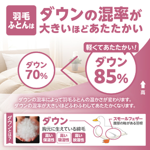 【甲州羽毛ふとん】布団 洗える 肌掛け（クイーン） 寝具 布団