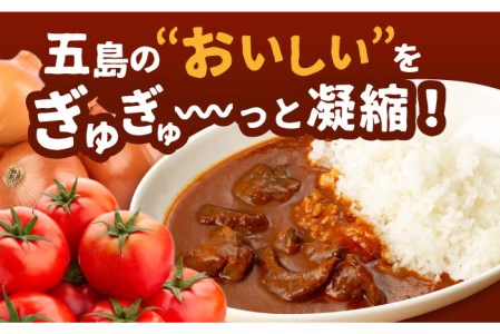 【全12回定期便】こだわりの五島ハヤシ5箱セット 化学調味料・着色料不使用 創作郷土料理いつき 五島産 牛肉 野菜五島市/出口さんご[PBK017]