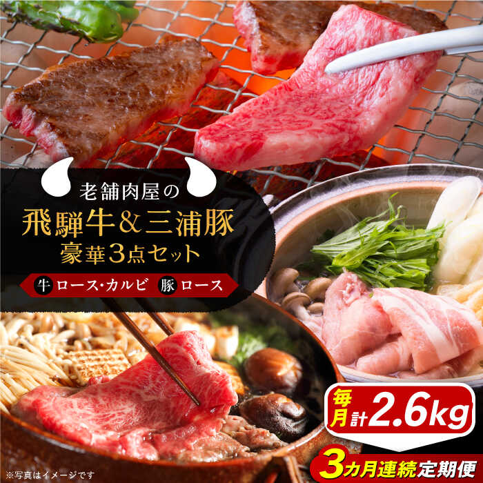 【ふるさと納税】【3回定期便】 牛肉 飛騨牛ロース1kg カルビ700g 三浦豚ロース900g 豪華3点セット しゃぶしゃぶ・焼肉 和牛 国産 霜降り 肉 にく 牛肉 国産 和牛 霜降り 産地直送 贈答用 ギフト ブランド牛 岐阜県産 人気 お取り寄せ /恵那市/岩島屋[AUAJ030]