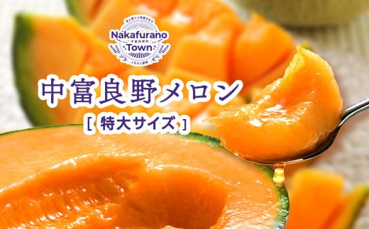 【R5発送】【鈴和産】遠藤ファームの中富良野メロン 大玉2玉 4kg以上