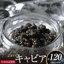 【ふるさと納税】【定期便】ASAHIキャビア　20g　6ヶ月定期便 国産キャビア　高級グルメ食材　贈り物　贈答品　お祝い　記念日　冷凍　宮崎県延岡市　送料無料