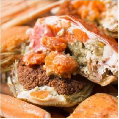 ふるさと納税 北栄町 【活】足折れご自宅用　親ガニ(セコガニ)10枚　 |  | 02