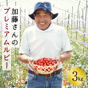【ふるさと納税】加藤さんのプレミアムルビー　3kg　北海道産高糖度フルーツミニトマト