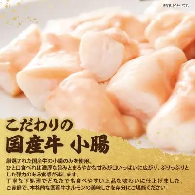 Z72-07 平壌屋 ひとり味噌もつ鍋 1人前×2個セット もつ鍋