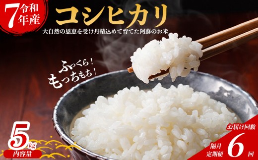 【定期便6回 隔月】令和7年産 コシヒカリ 5㎏ 5キロ 6回 30㎏ 30キロ 定期 定期便 隔月 こしひかり 米 こめ コメ お米 おこめ 白米 ブランド米 銘柄米 熊本県産 熊本産 熊本県 阿蘇市