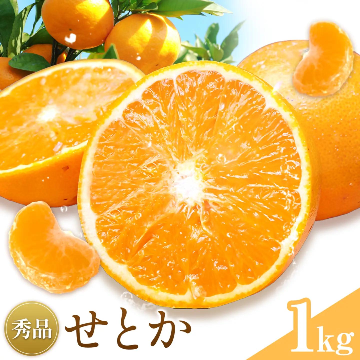 せとか 秀品 1kg(4-8玉前後) 