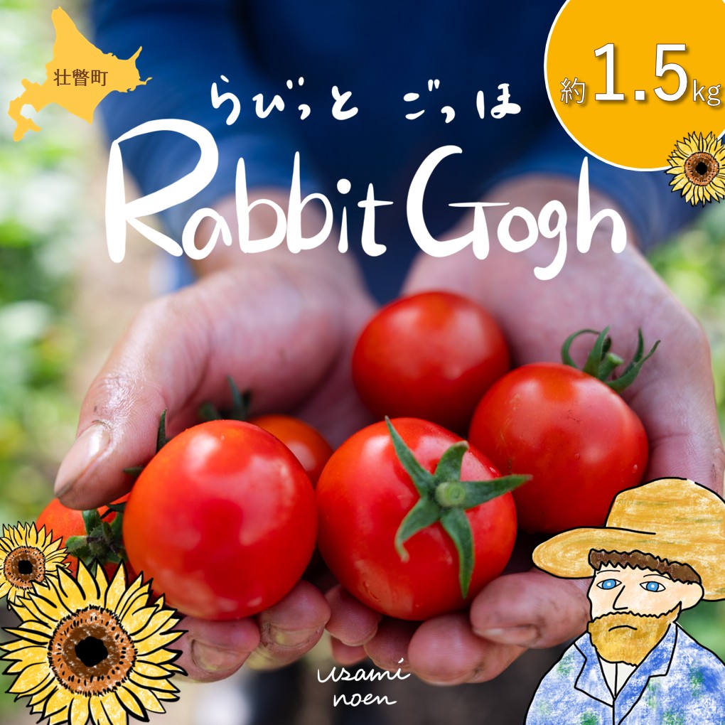 【2026年予約】極旨トマトクール便 北海道壮瞥町産 ラビットゴッホ1.5kg 中玉トマト SBTAJ002