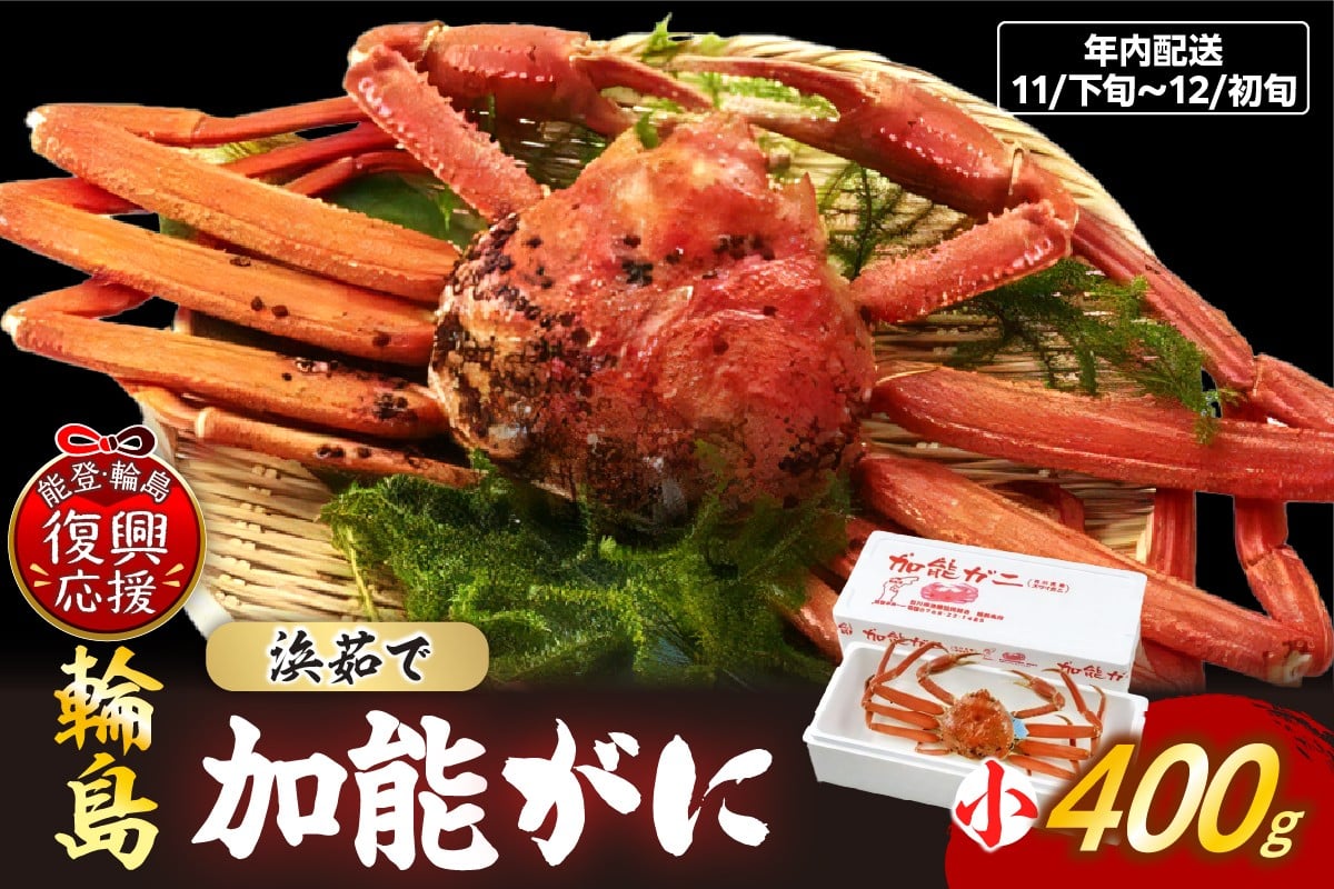 
            【先行予約】加能ガニ（雄ズワイガニ、浜茹で）（小）【2025年11月下旬-12月初旬にお届け】
          