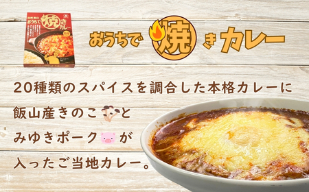 あると便利なレトルトカレー★「おうちで焼きカレー」・「信州味噌入り野沢菜キーマカレー」各5箱合計10箱セット（Ai-002）
