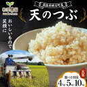 【ふるさと納税】《選べる容量》令和6年産 天のつぶ 玄米 《4kg 5kg 10kg》 2024年11月から発送 米 コメ こめ 福島県 和田農園 F6Q-189var