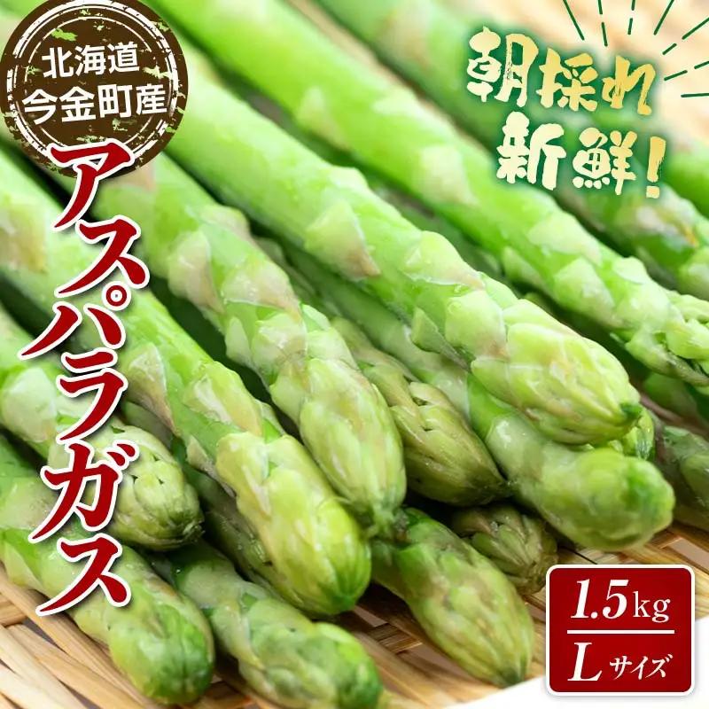 【先行予約】朝採れ新鮮アスパラ 1.5kg（Lサイズ） (2027年3月下旬~6月中旬または2027年7月上旬~9月上旬発送) 野菜 秀品 北海道産 バーベキュー BBQ キャンプ 旬野菜 アスパラガス 栄養満点 冷蔵発送 F21X-455