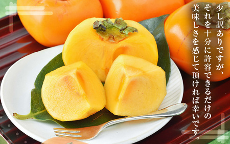 【先行予約】【訳あり】甘みすっきり！あわらのたねなし柿 約3.5kg（18個入）（ご家庭用）／ 果物 フルーツ 産地直送 期間限定 ※2025年10月中旬以降準備出来次第発送 [aw031-a006]