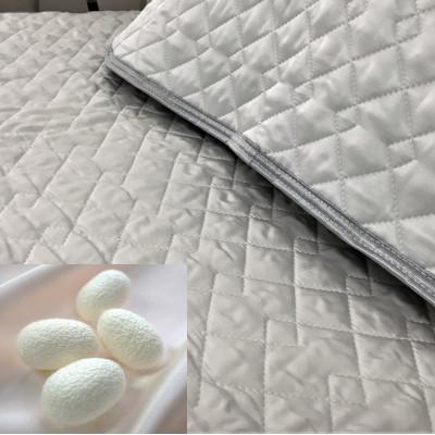 ふるさと納税 泉大津市 【訳あり】天然の美容繊維　シルク　敷パッドと枕パッド　シングル　グレー　1020S4363GY |  | 02