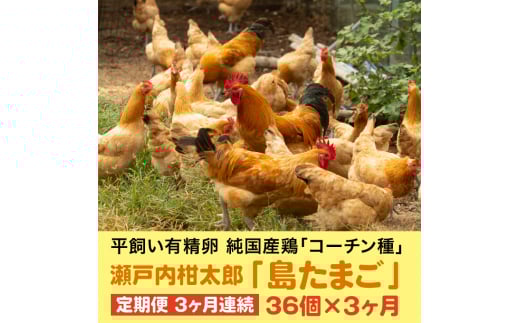 【3か月定期便】島たまご34個(破卵保障＋2個)《有精卵》合計108個 平飼い 新鮮 卵 玉子 瀬戸内柑太郎 純国産鶏 産地直送 コーチン 017033