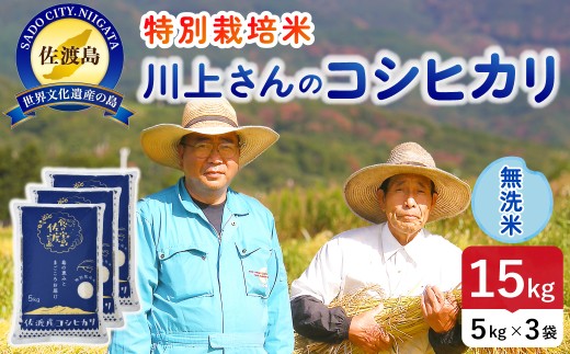 佐渡島産 川上さんのコシヒカリ 無洗米15kg 令和7年産 特別栽培米 【食の宝島佐渡】