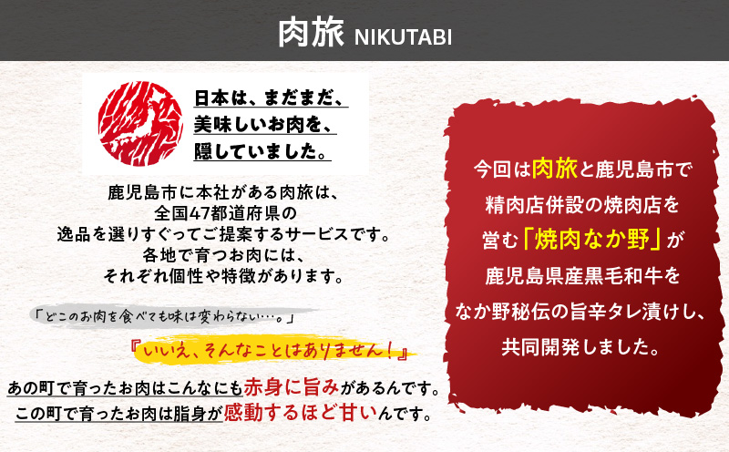 鹿児島県産黒毛和牛 旨辛タレ漬け 500g（250g×2P）　K235-004_01
