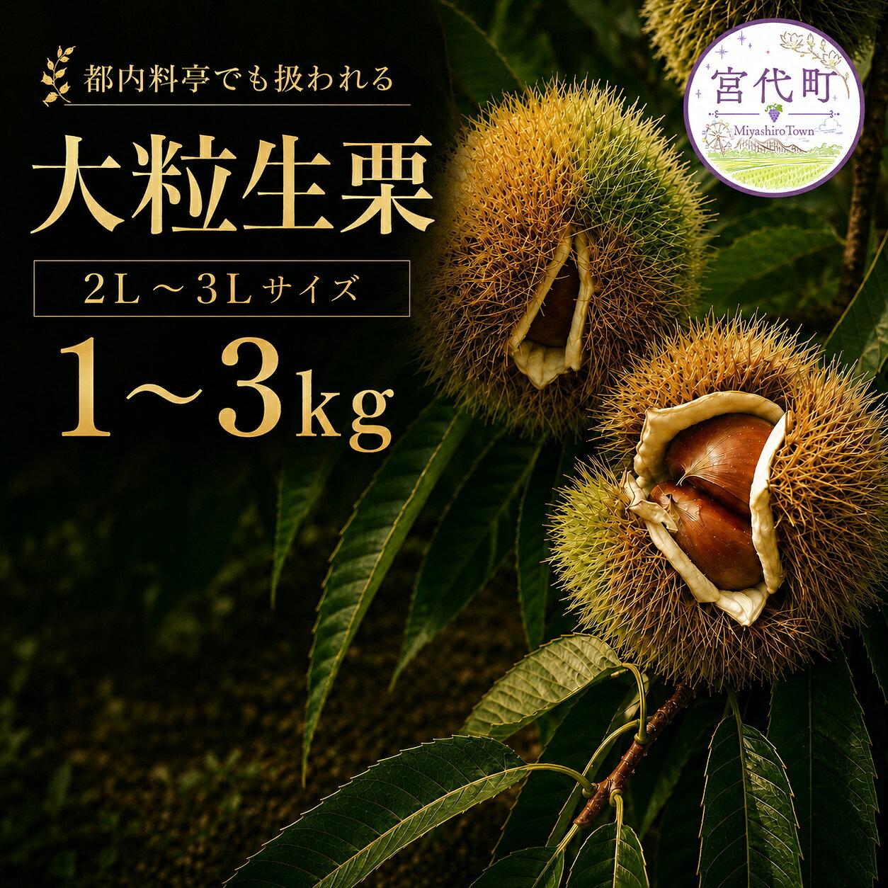 【ふるさと納税】折原農園の生栗（2L～3Lサイズ） 1kg 2kg 3kg | 栗 くり クリ 生栗 完熟 折原農園 埼玉県 宮代町